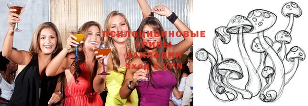 дживик Аркадак