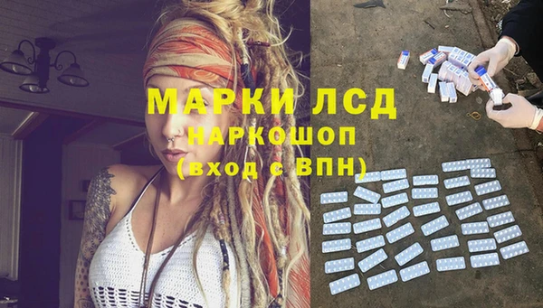 дживик Аркадак