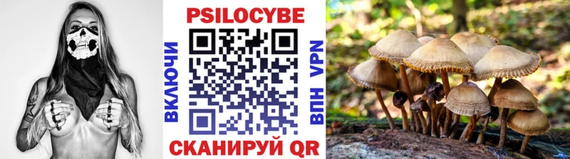 Галлюциногенные грибы мицелий  маркетплейс наркотические препараты  Уржум  hydra рабочий сайт 